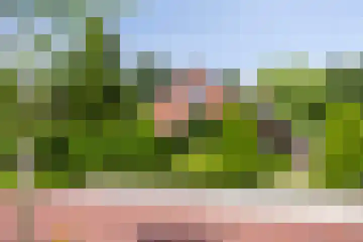 Van de Veldelaan 966 Alkmaar thumbnail 34