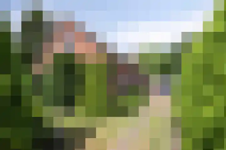 Van de Veldelaan 966 Alkmaar thumbnail 4