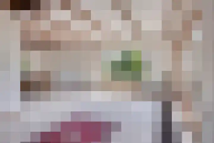 Van de Veldelaan 966 Alkmaar thumbnail 7