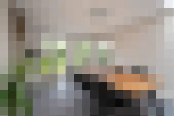 Van de Veldelaan 986 Alkmaar thumbnail 14