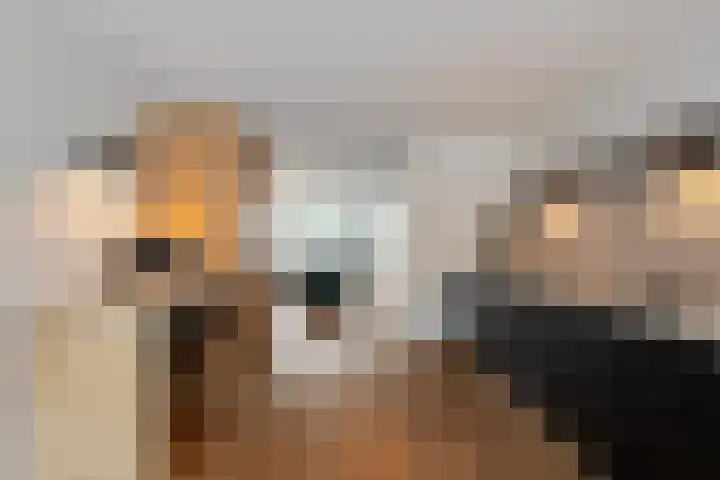 Van de Veldelaan 986 Alkmaar thumbnail 19
