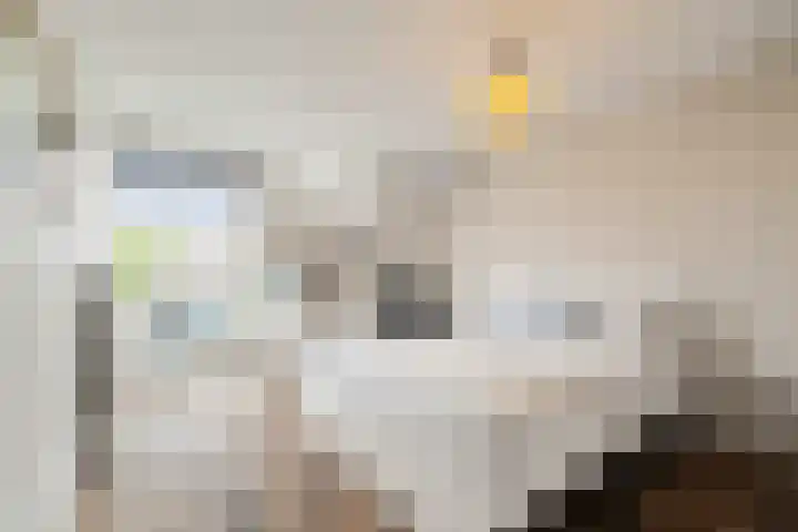 Van de Veldelaan 986 Alkmaar thumbnail 26