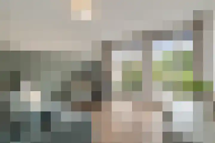 Van de Veldelaan 986 Alkmaar thumbnail 30