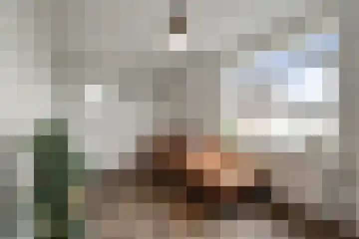 Van de Veldelaan 986 Alkmaar thumbnail 32