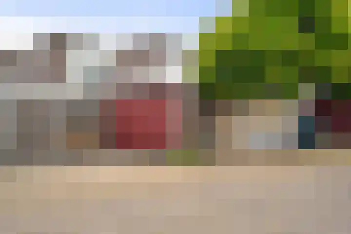 Van de Veldelaan 986 Alkmaar thumbnail 37