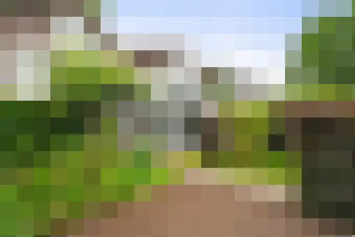 Van de Veldelaan 986 Alkmaar thumbnail 5