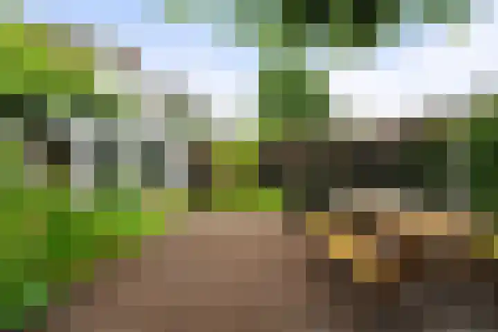 Van de Veldelaan 986 Alkmaar thumbnail 7