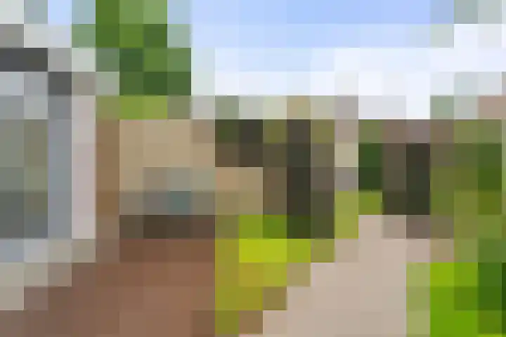 Van de Veldelaan 986 Alkmaar thumbnail 8