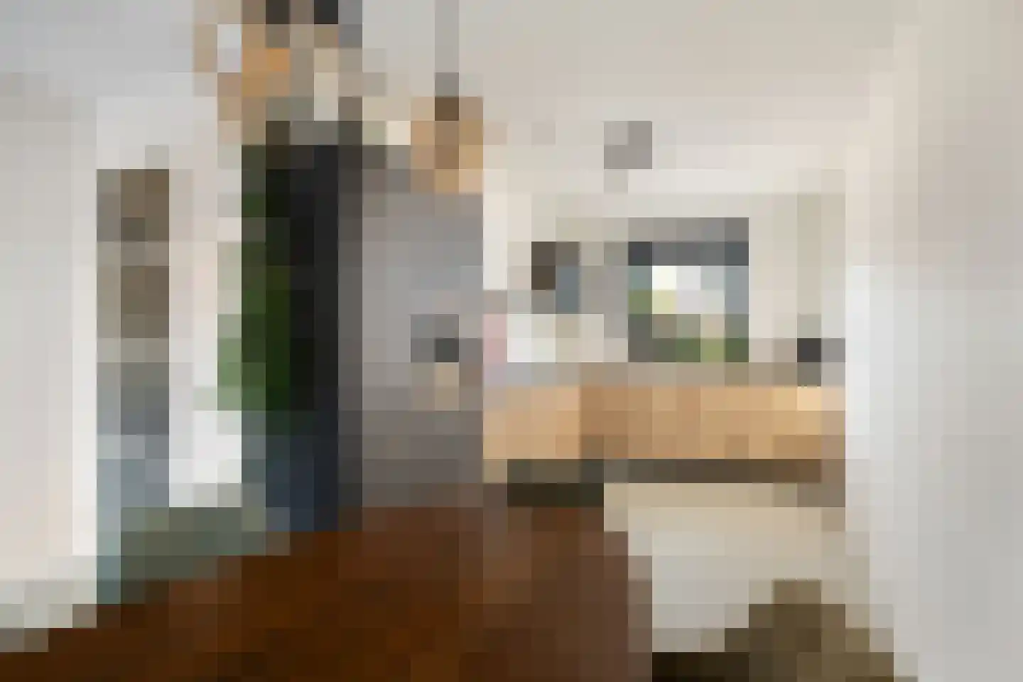 Van de Veldepad 16 Oud-Beijerland foto 3