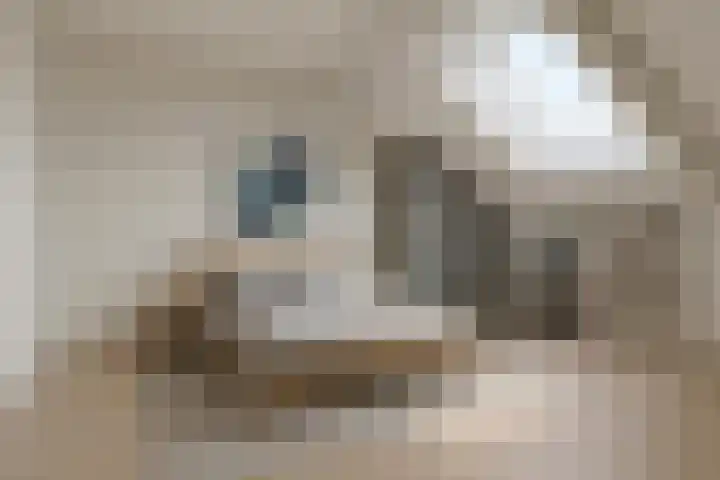 Van de Veldepad 3 Oud-Beijerland thumbnail 21