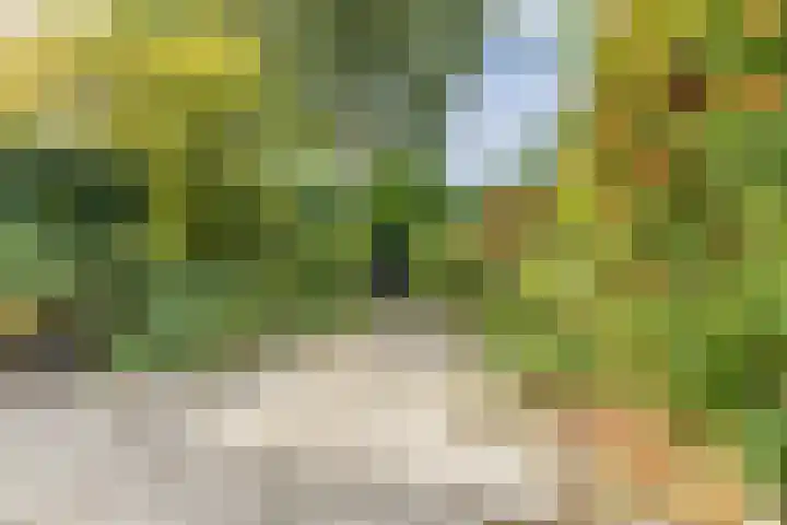 Van de Veldepad 3 Oud-Beijerland thumbnail 28