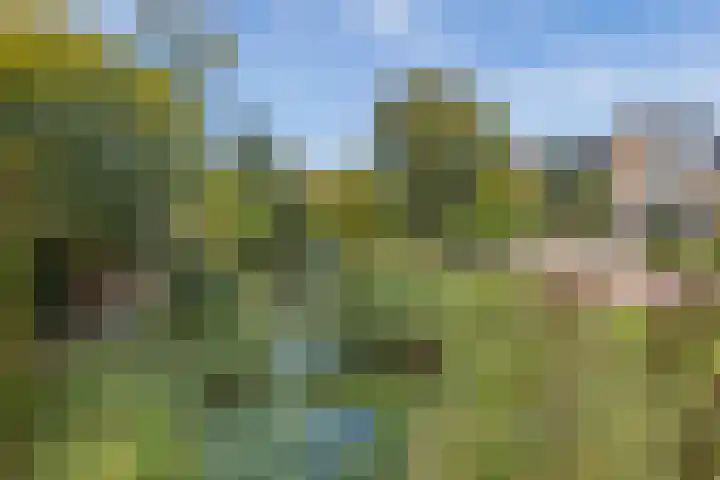 Van de Veldepad 3 Oud-Beijerland thumbnail 30