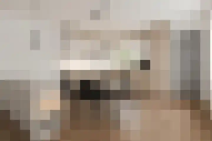 Van de Veldepad 3 Oud-Beijerland thumbnail 9