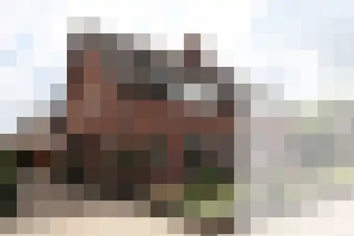 van de Veldeweg 160 Groesbeek thumbnail 5