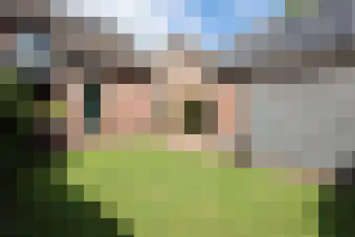 van de Veldeweg 160 Groesbeek thumbnail 9
