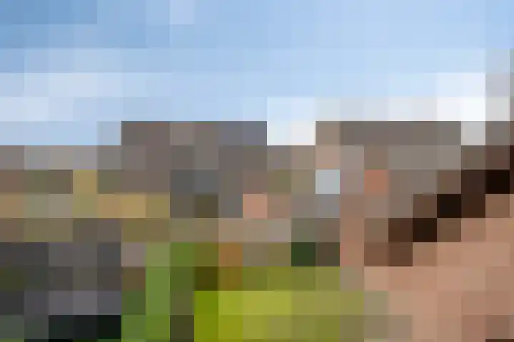 van de Veldeweg 170 Groesbeek thumbnail 22