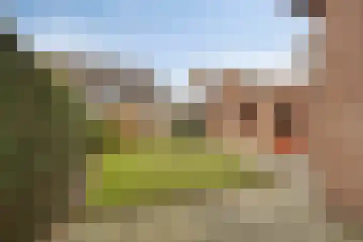 van de Veldeweg 170 Groesbeek thumbnail 29