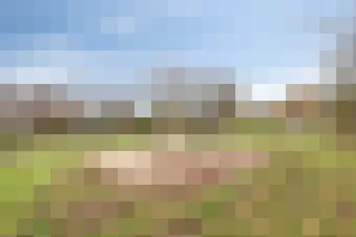 van de Veldeweg 170 Groesbeek thumbnail 34