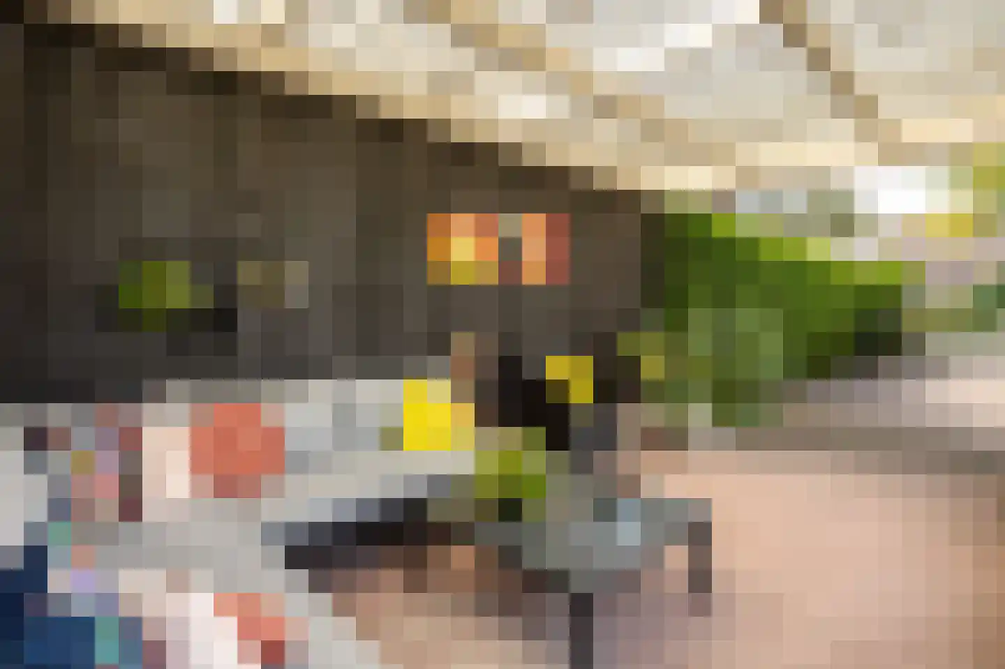 van de Veldeweg 85 Groesbeek thumbnail 34