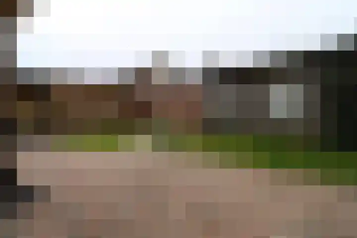 van de Veldeweg 87 Groesbeek thumbnail 9