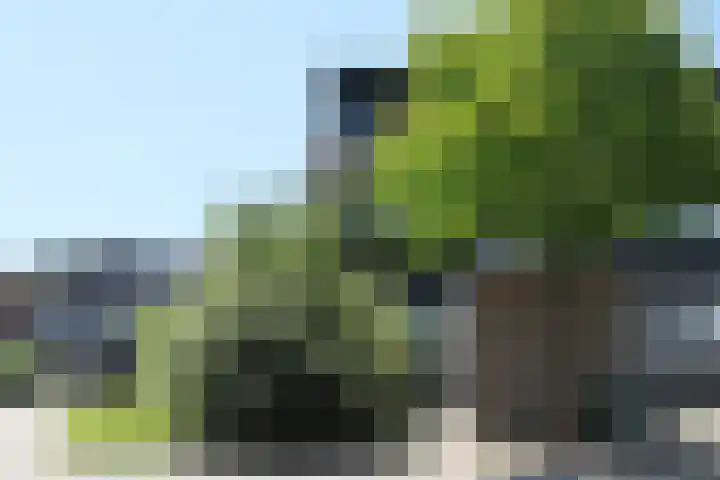 van de Veldeweg 92 Groesbeek thumbnail 6
