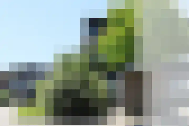 van de Veldeweg 92 Groesbeek thumbnail 7