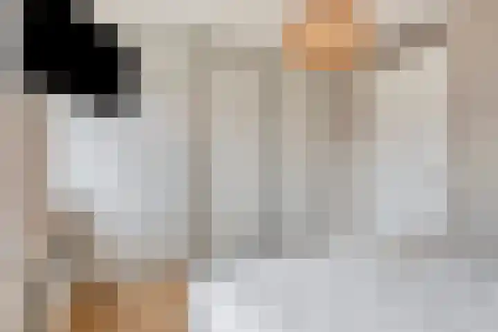 Van de Ven-erf 25 Heesch thumbnail 20