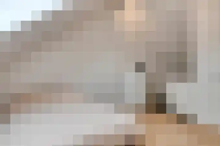 Van de Ven-erf 25 Heesch thumbnail 28