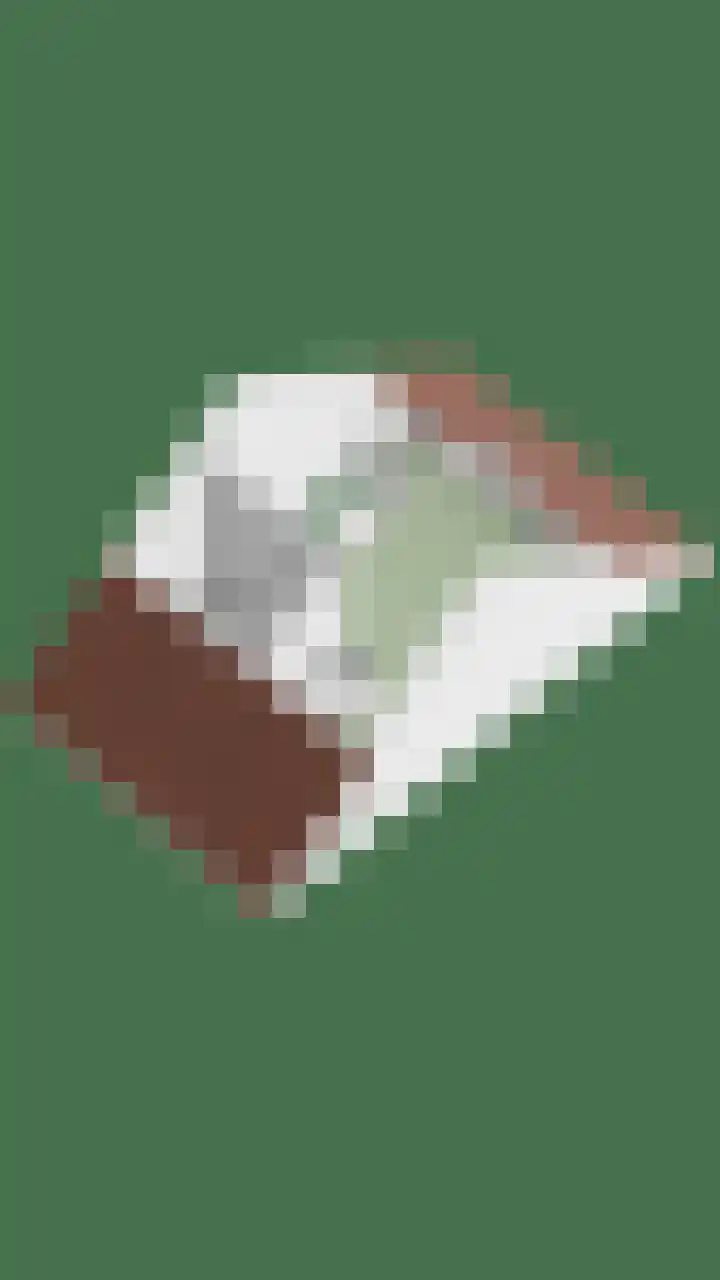 Van de Ven-erf 25 Heesch thumbnail 44