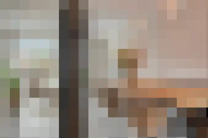 Van de Ven-erf 25 Heesch thumbnail 6