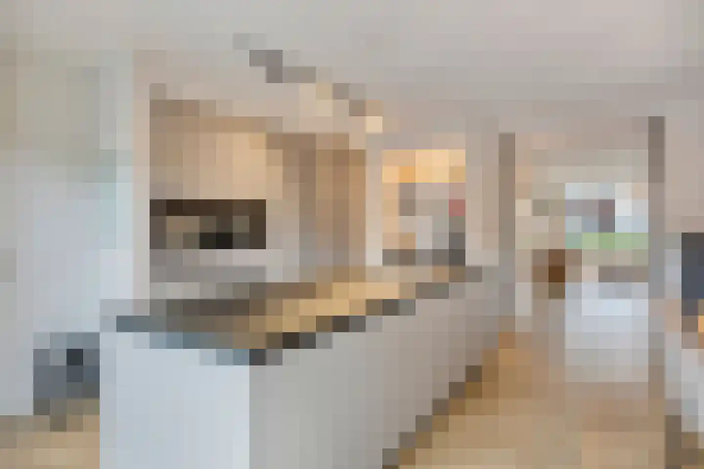 Van de Ven-erf 41 Heesch thumbnail 13