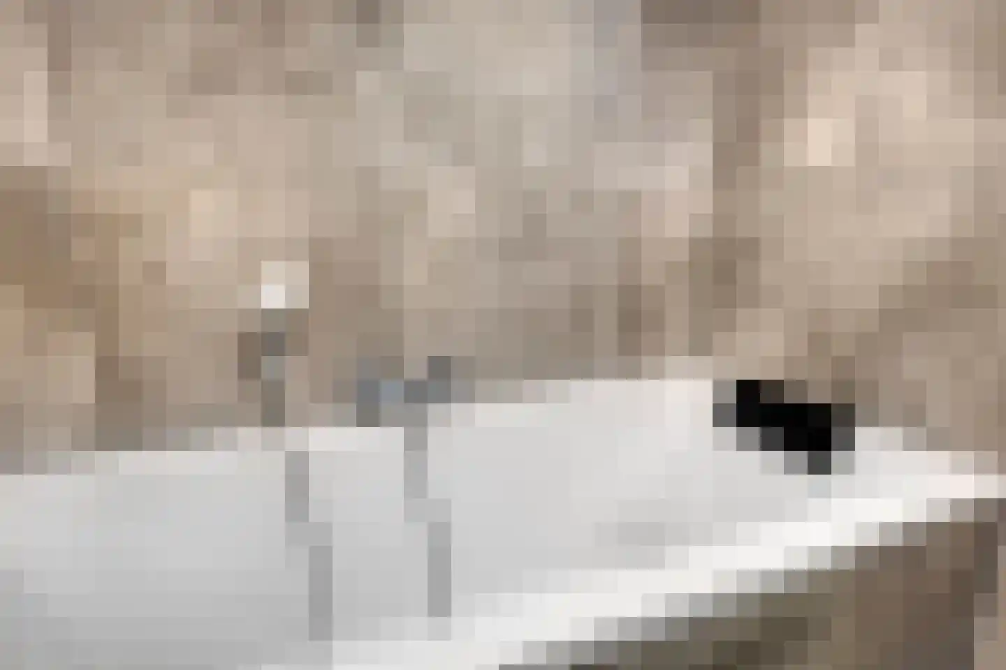 Van de Ven-erf 41 Heesch thumbnail 26
