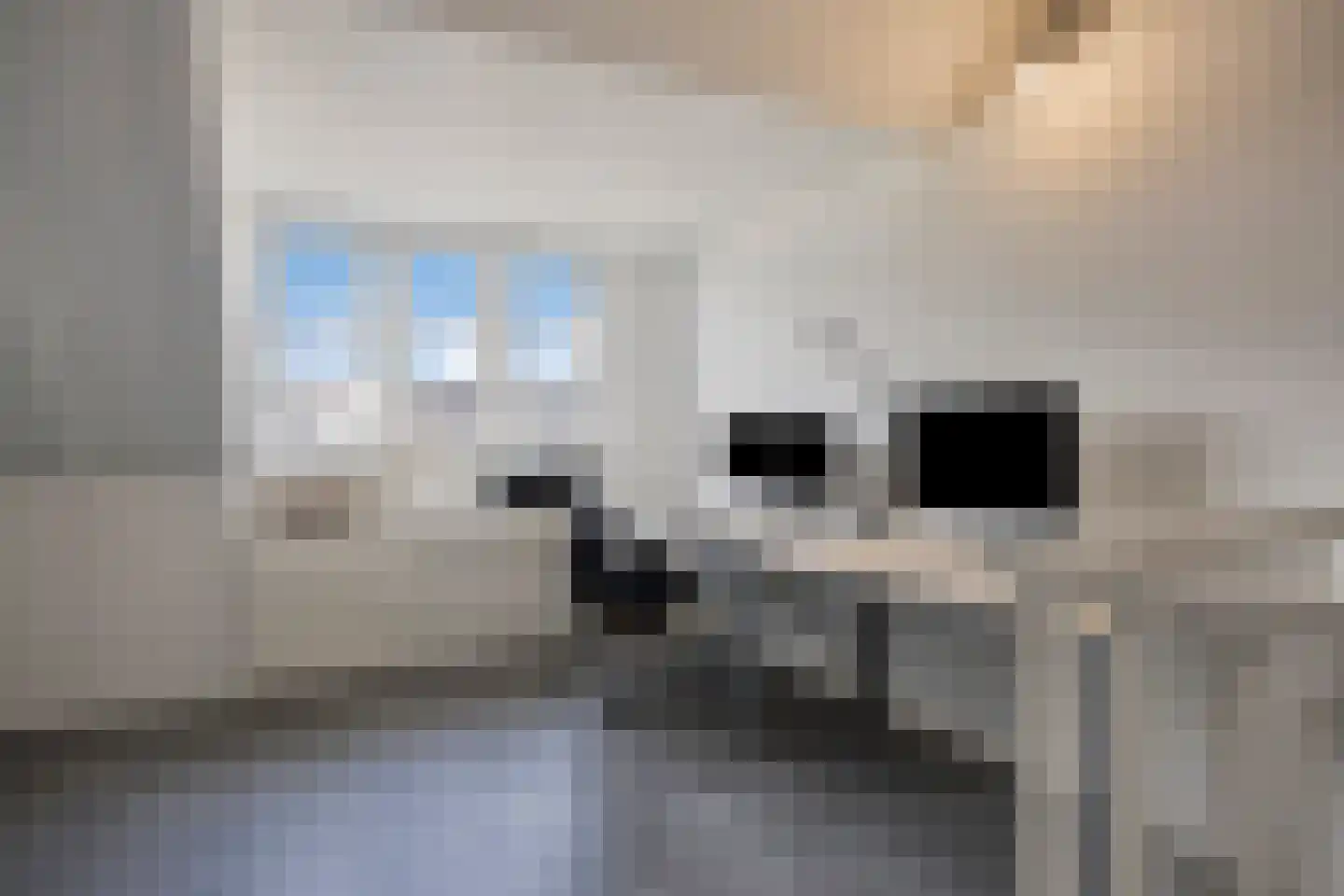 Van de Ven-erf 41 Heesch thumbnail 28