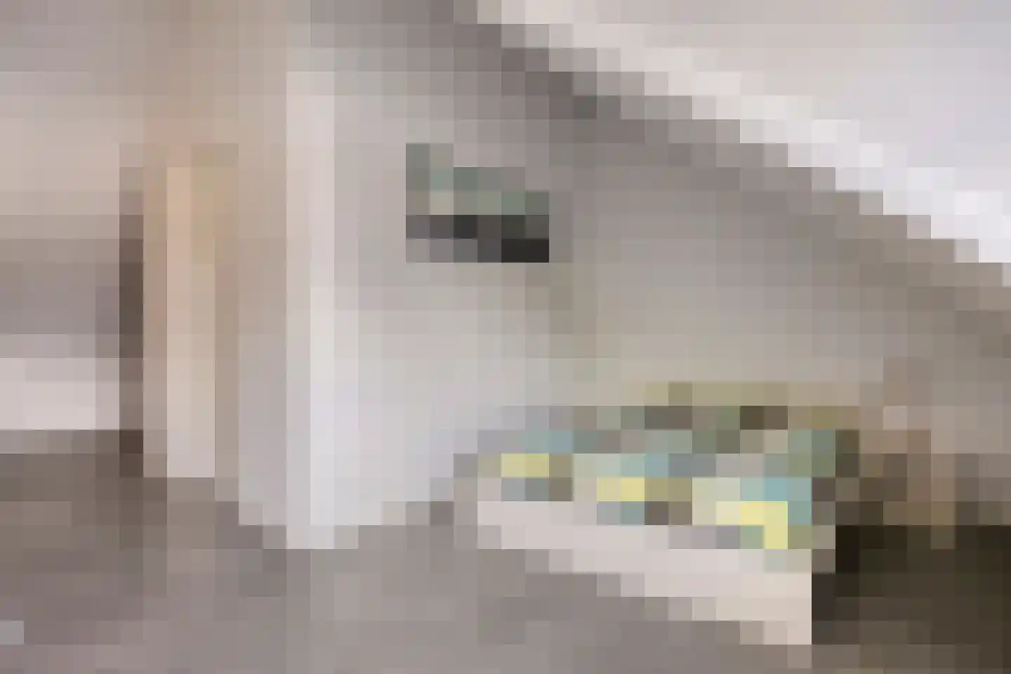 Van de Ven-erf 41 Heesch thumbnail 29