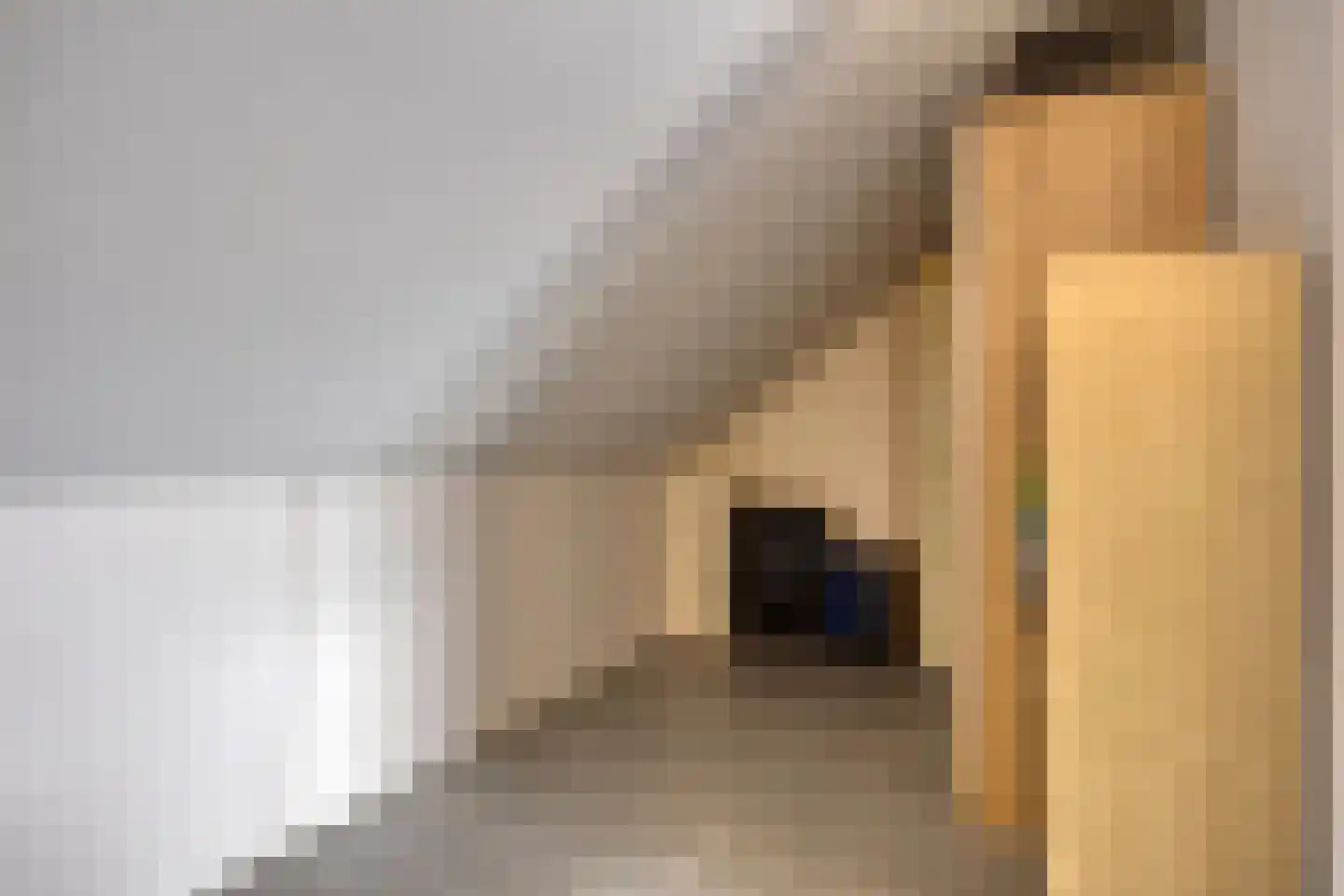 Van de Ven-erf 41 Heesch thumbnail 31
