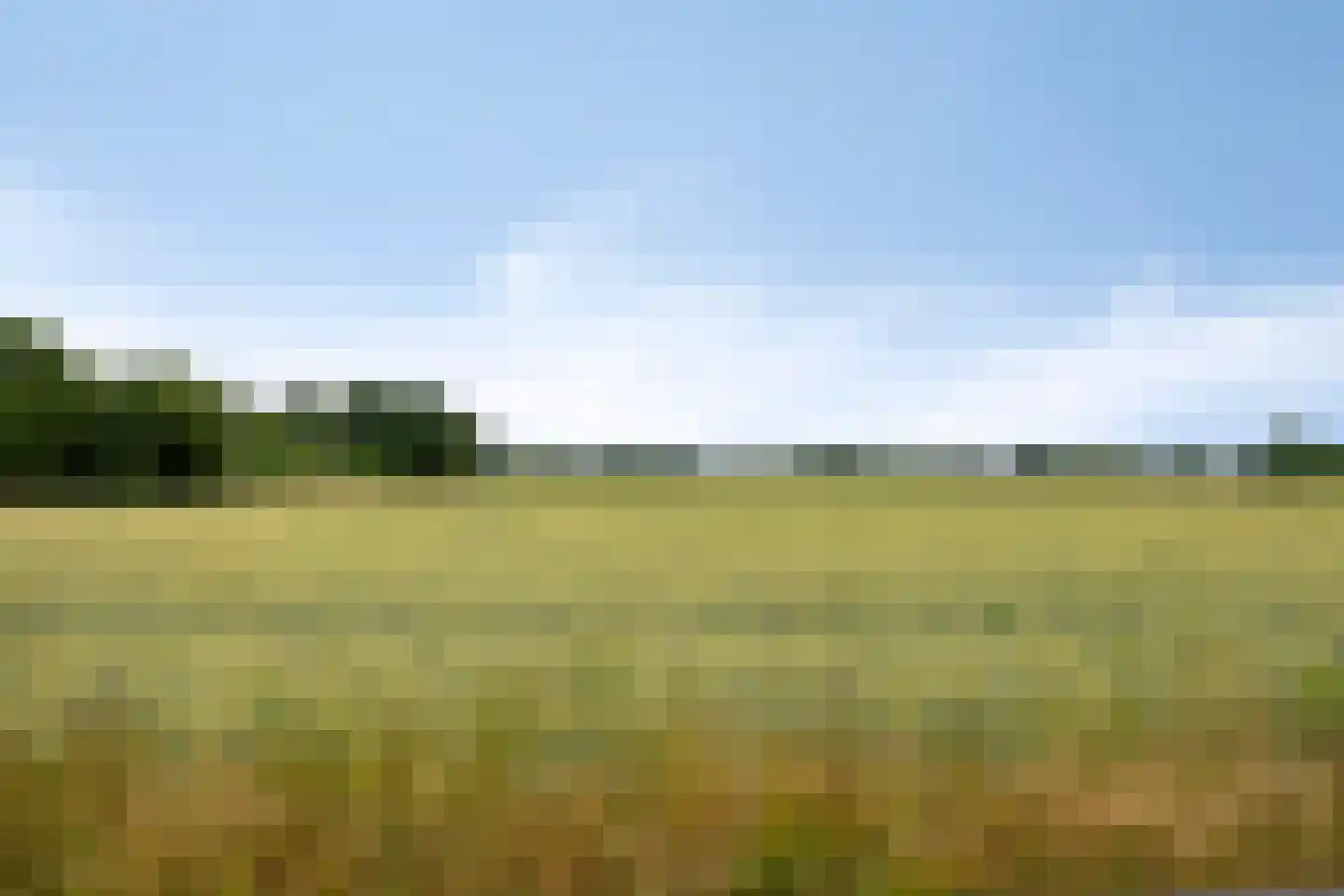 Van de Ven-erf 41 Heesch thumbnail 41