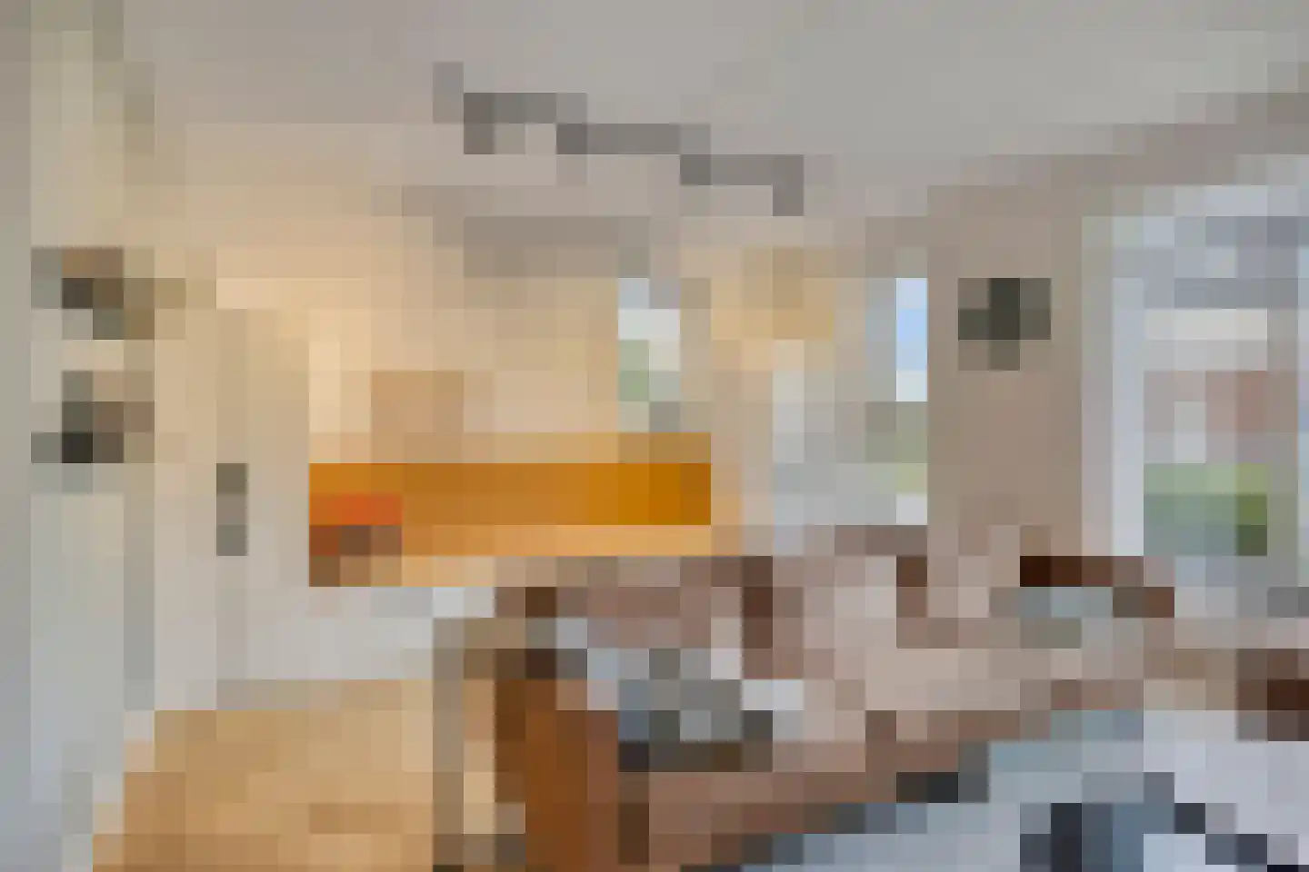 Van de Ven-erf 41 Heesch thumbnail 6