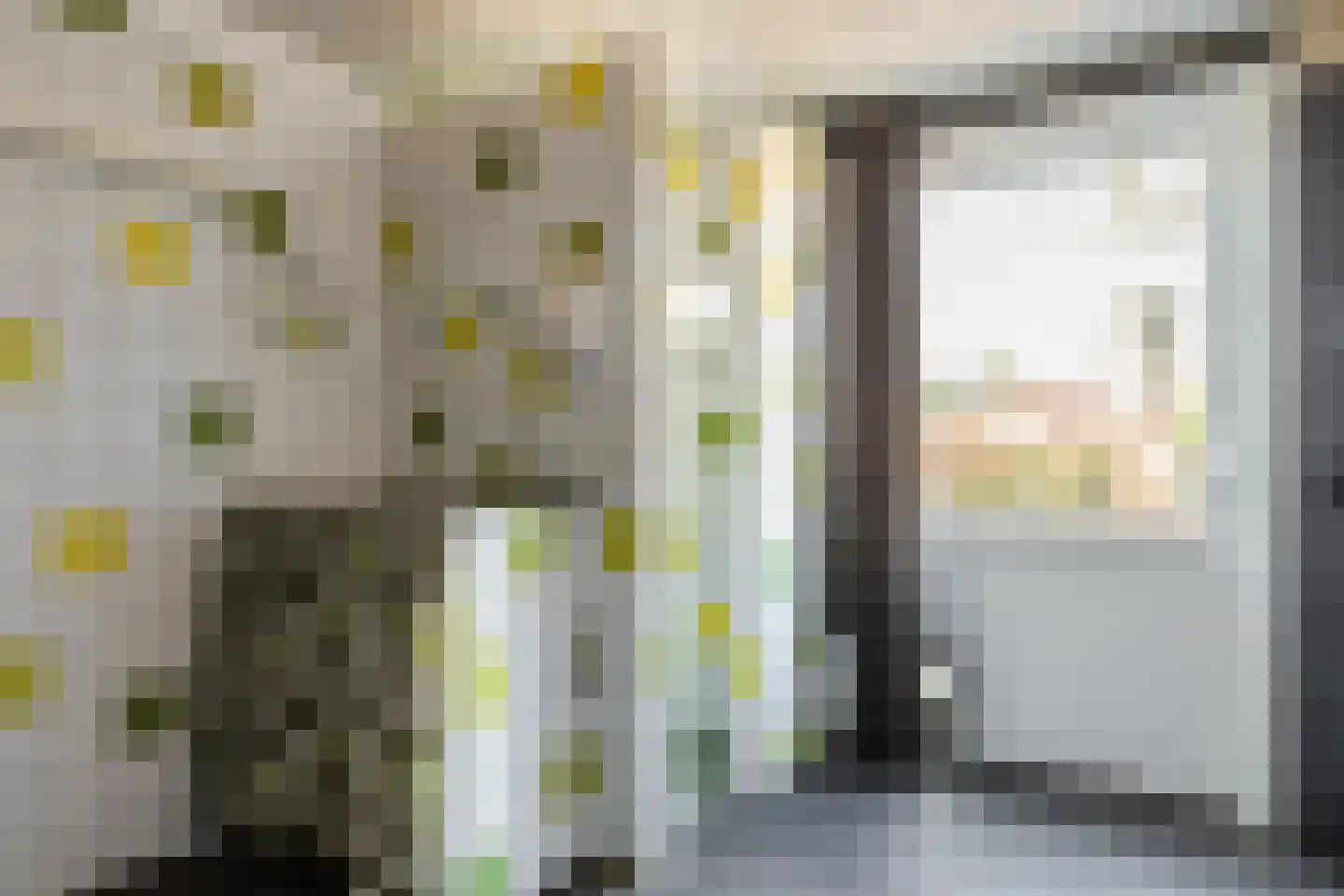 van de Venstraat 2 Valkenswaard thumbnail 20