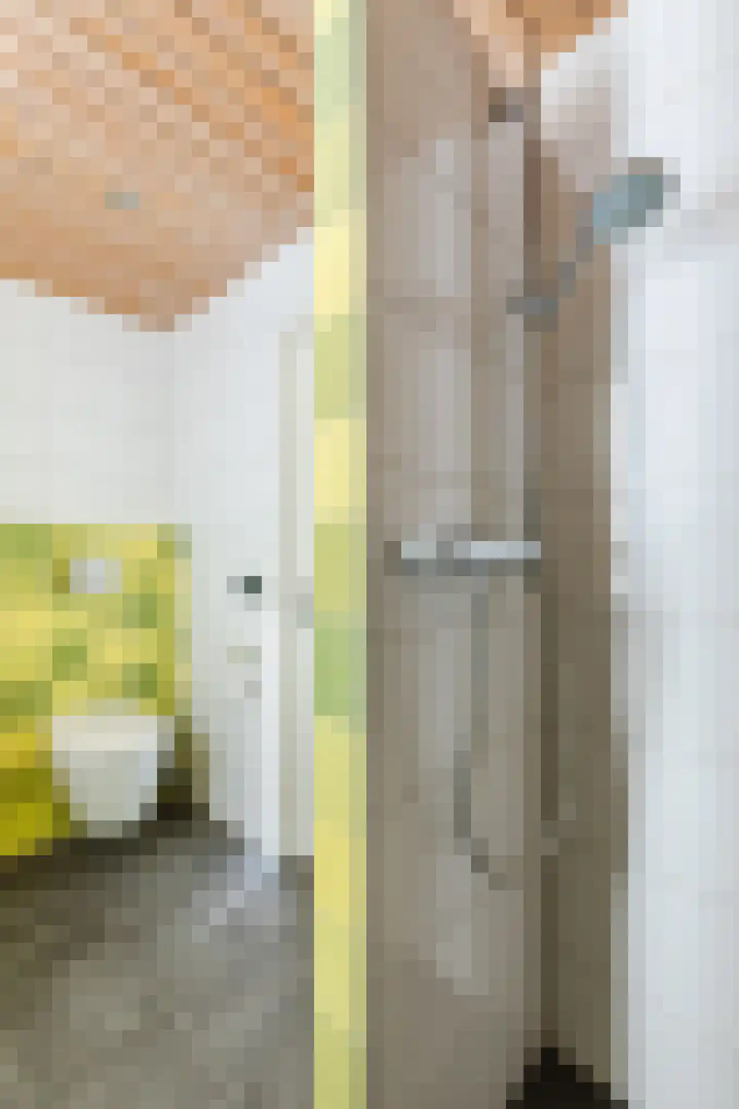 van de Venstraat 2 Valkenswaard thumbnail 30