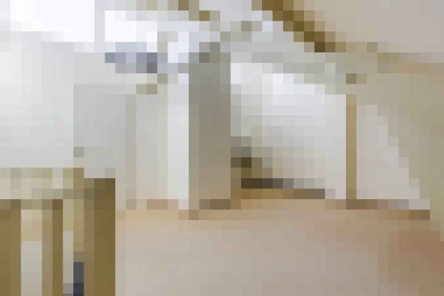 van de Venstraat 2 Valkenswaard thumbnail 34