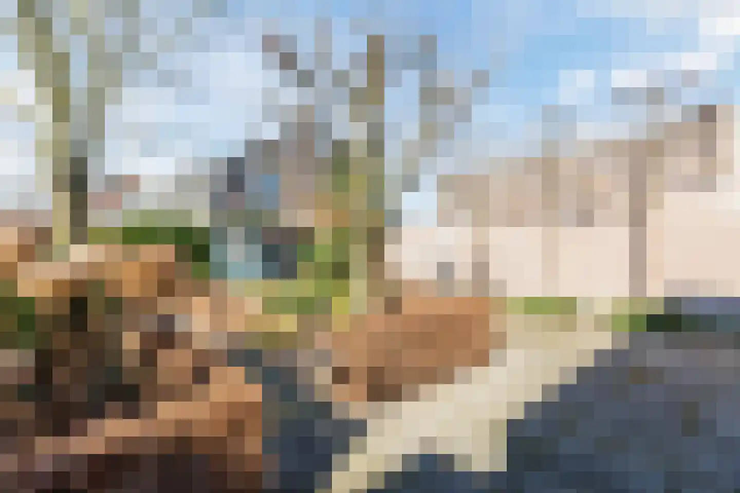 van de Venstraat 2 Valkenswaard thumbnail 36