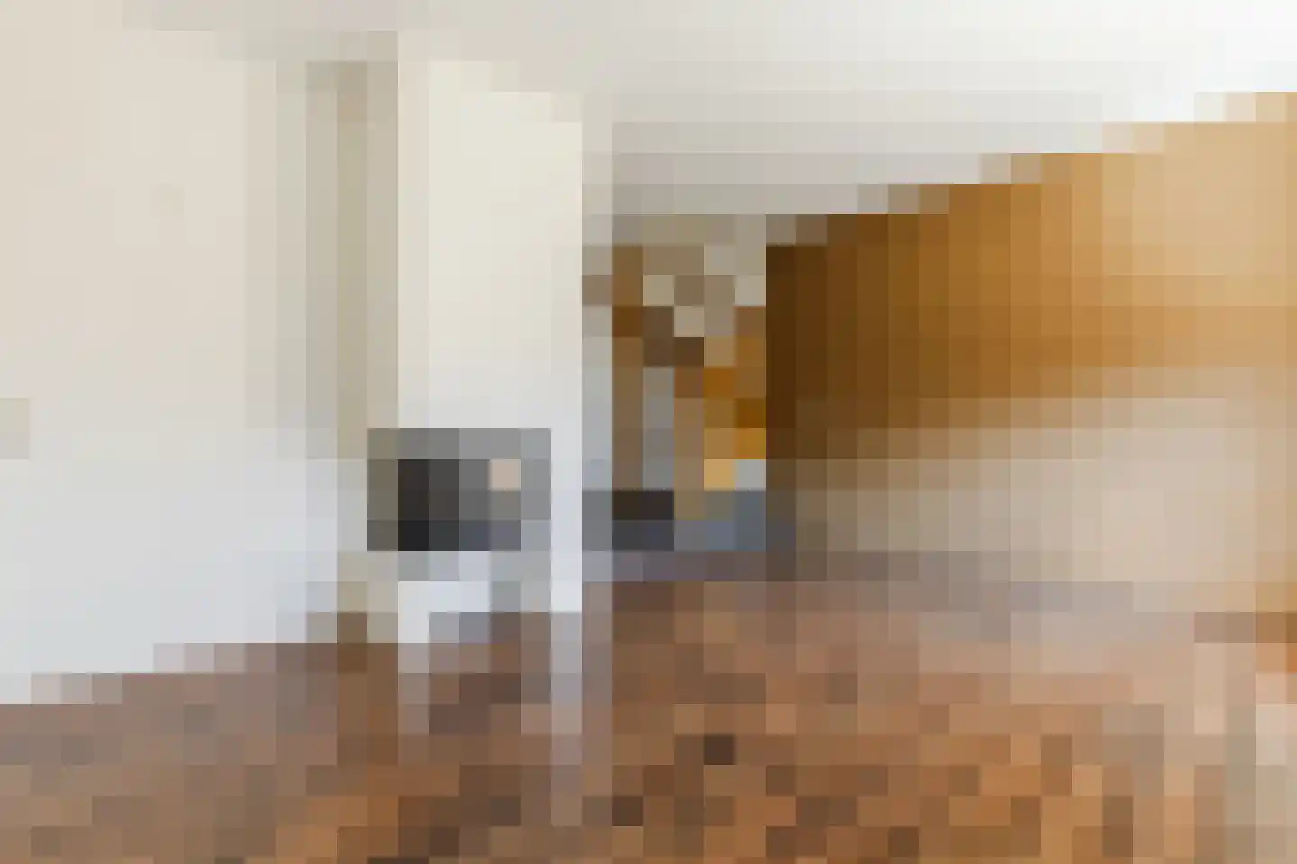 van de Venstraat 2 Valkenswaard thumbnail 4