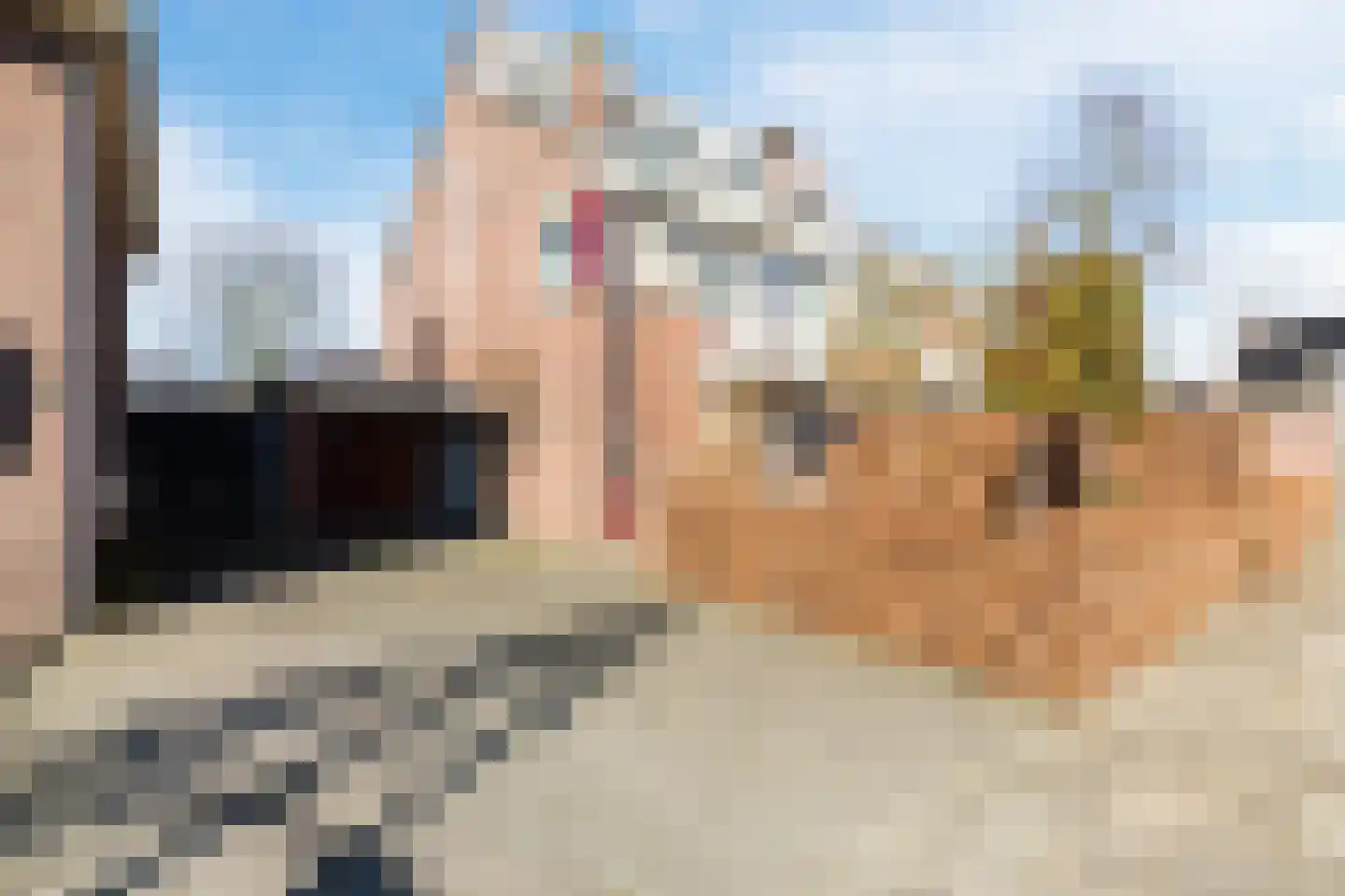 van de Venstraat 2 Valkenswaard thumbnail 43