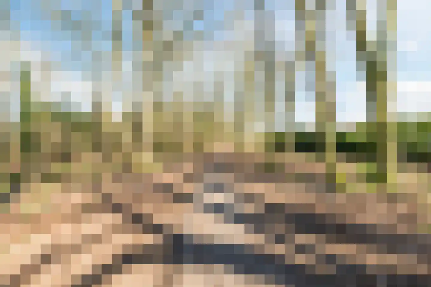 van de Venstraat 2 Valkenswaard thumbnail 50