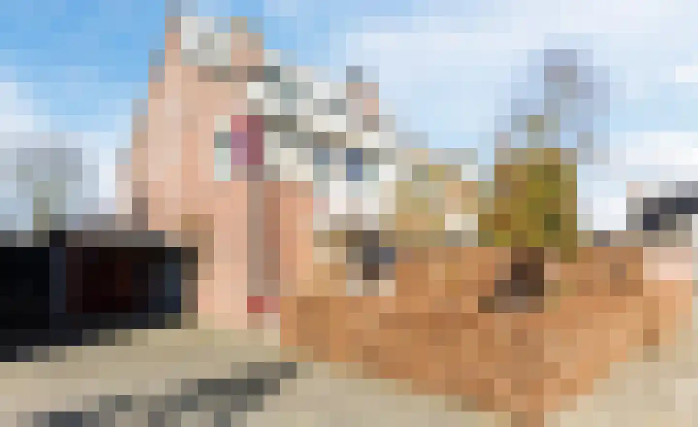 van de Venstraat 2 Valkenswaard thumbnail 6