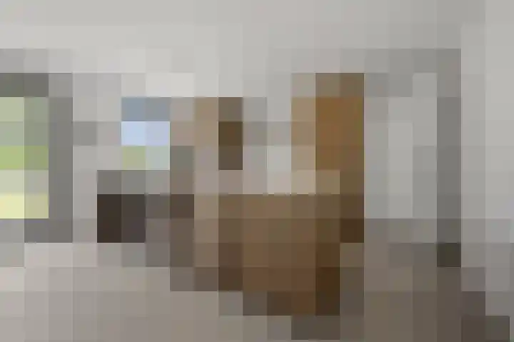 Van de Vijzellaan 10 Sint Pancras thumbnail 10