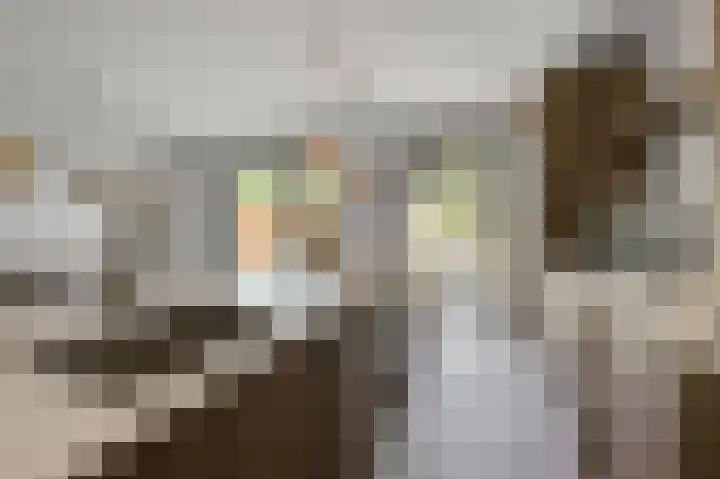 Van de Vijzellaan 10 Sint Pancras thumbnail 13