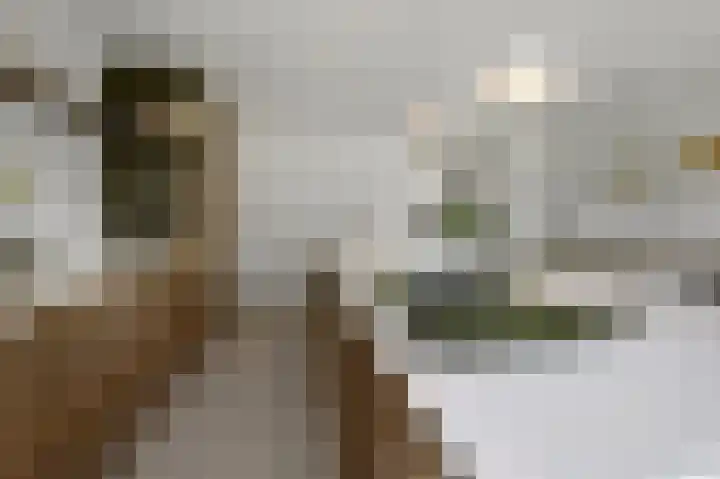 Van de Vijzellaan 10 Sint Pancras thumbnail 14