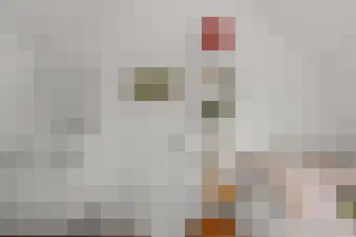 Van de Vijzellaan 10 Sint Pancras thumbnail 36