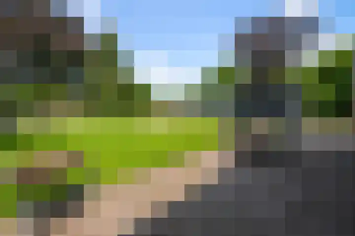 Van de Vijzellaan 10 Sint Pancras thumbnail 43